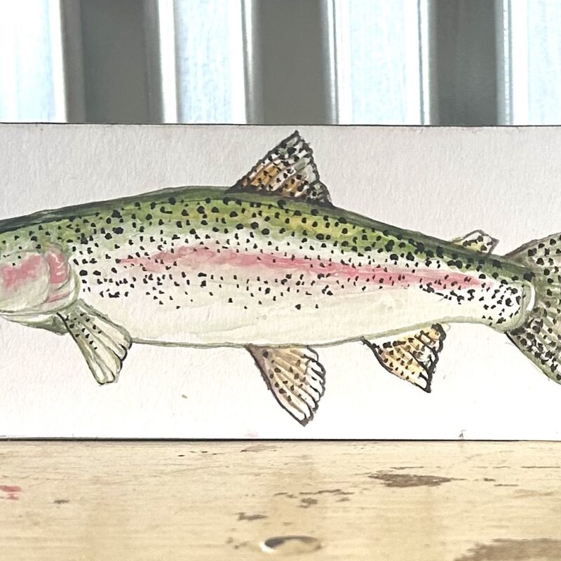 Trout On Block